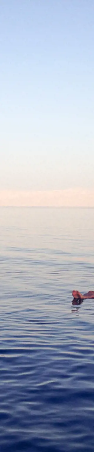 Schwebe im Toten Meer